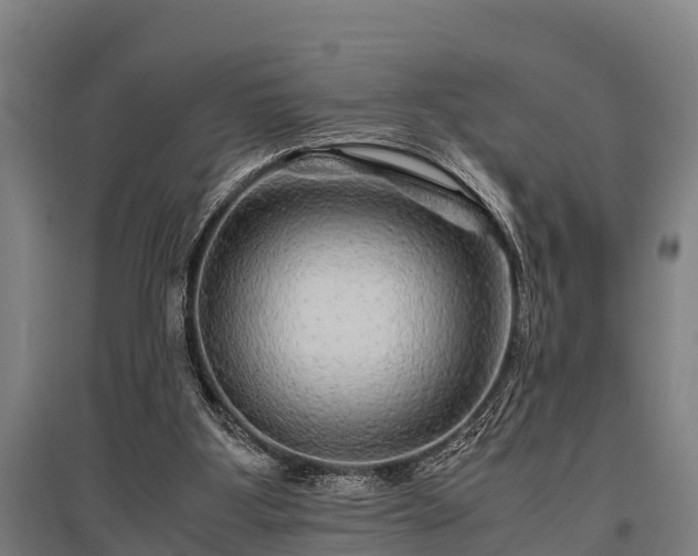 X0000095940107200801181409