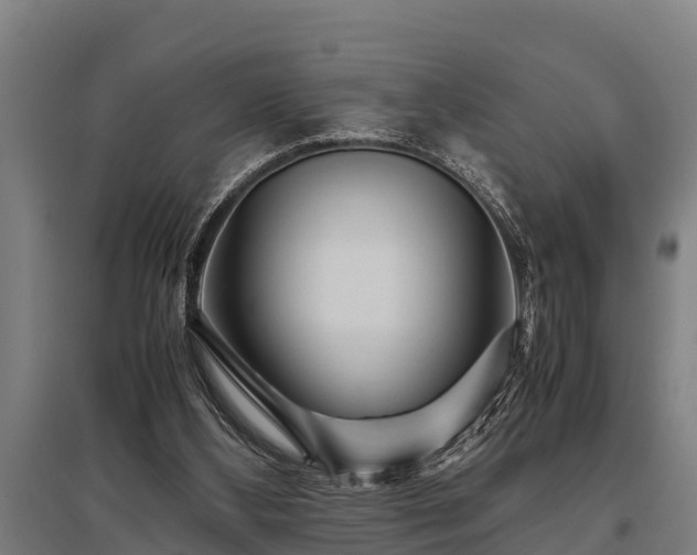 X0000095940108200801181409