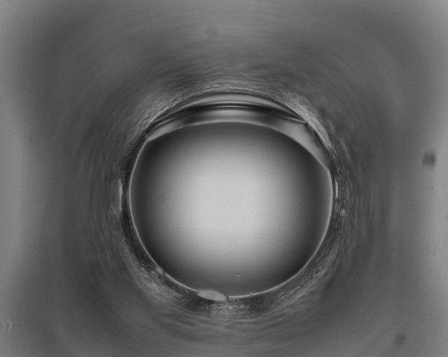 X0000095940109200801181409