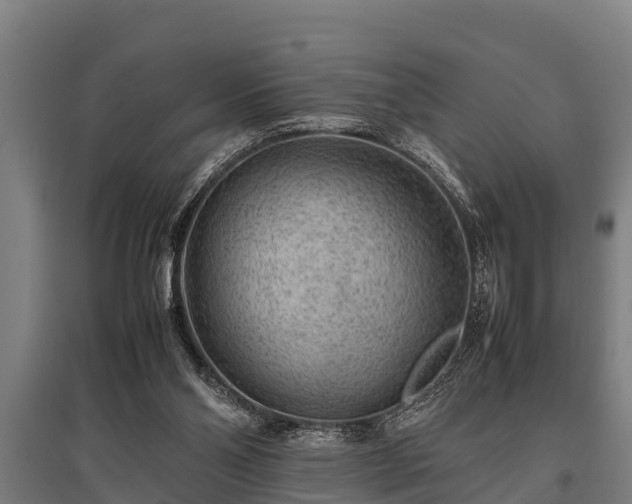 X0000095940110200801181409
