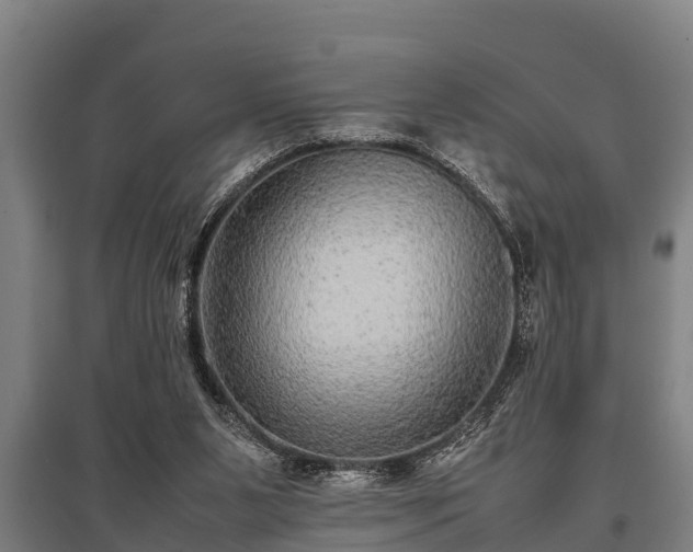 X0000095940111200801181409