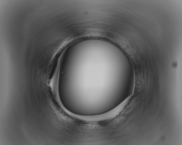 X0000095940112200801181409