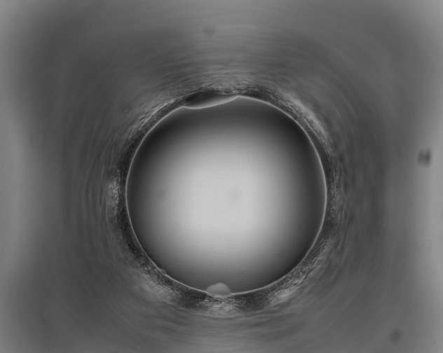 X0000095940113200801181409