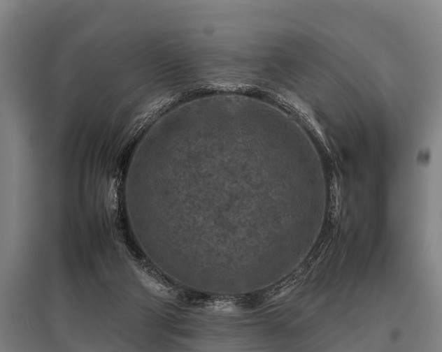 X0000095940114200801181409
