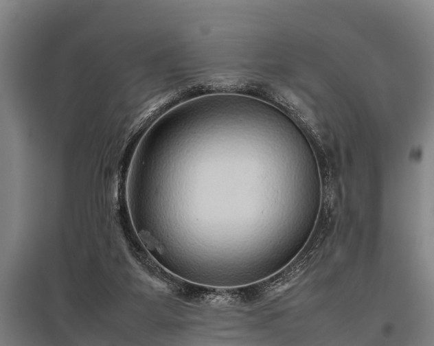X0000095940115200801181409