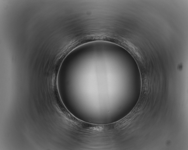 X0000095940118200801181409