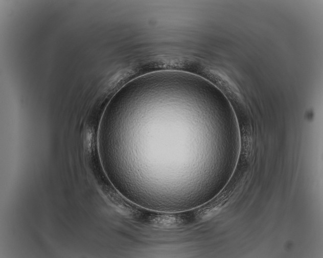 X0000095940123200801181409