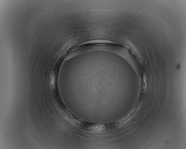 X0000095940124200801181409