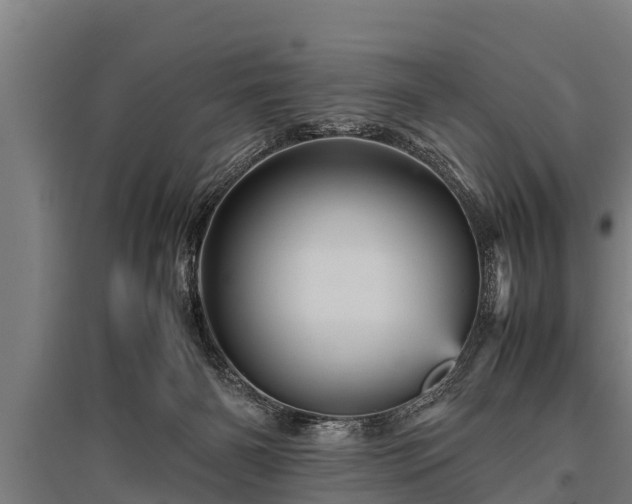 X0000095940126200801181409