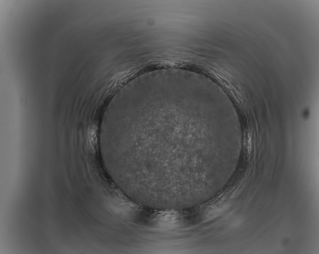 X0000095940127200801181409