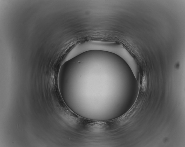 X0000095940128200801181409