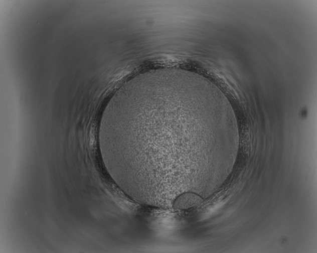 X0000095940131200801181409