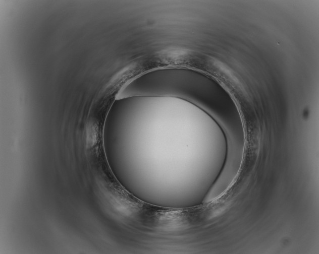 X0000095940132200801181409