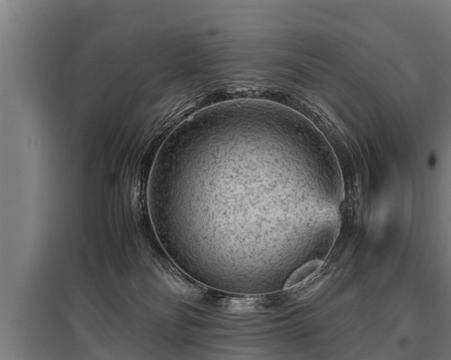 X0000095940134200801181409