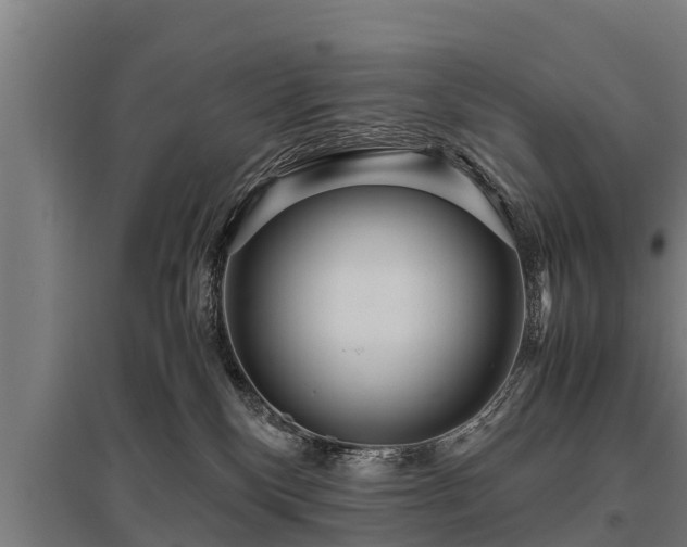 X0000095940136200801181409
