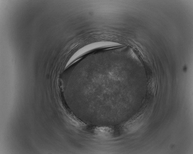 X0000095940137200801181409