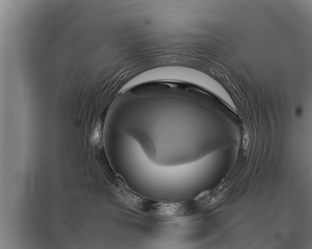 X0000095940143200801181409