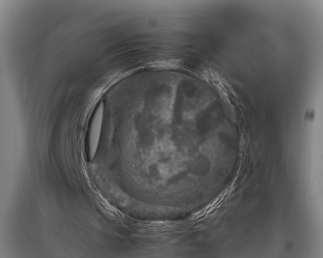 X0000095940145200801181408