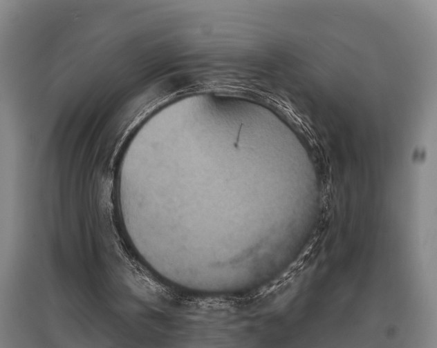 X0000095940146200801181408