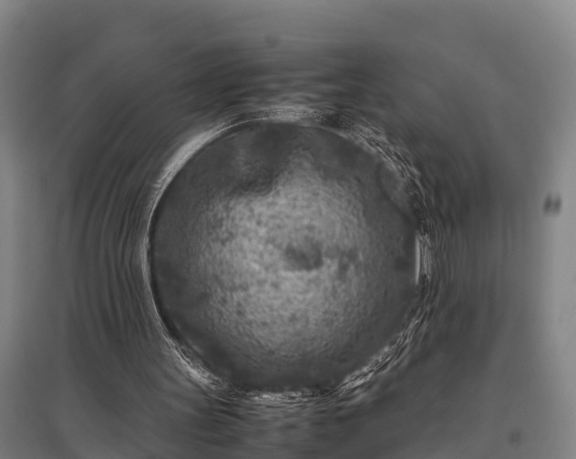 X0000095940147200801181408
