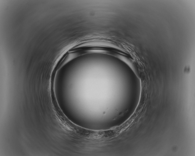 X0000095940148200801181408