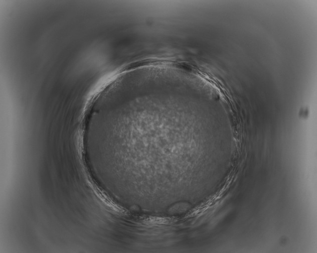 X0000095940149200801181408