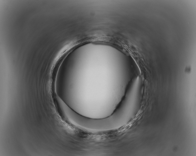 X0000095940150200801181408