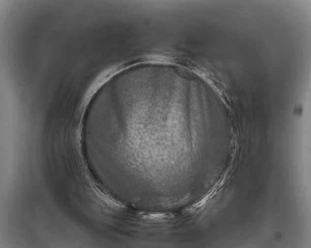 X0000095940151200801181408
