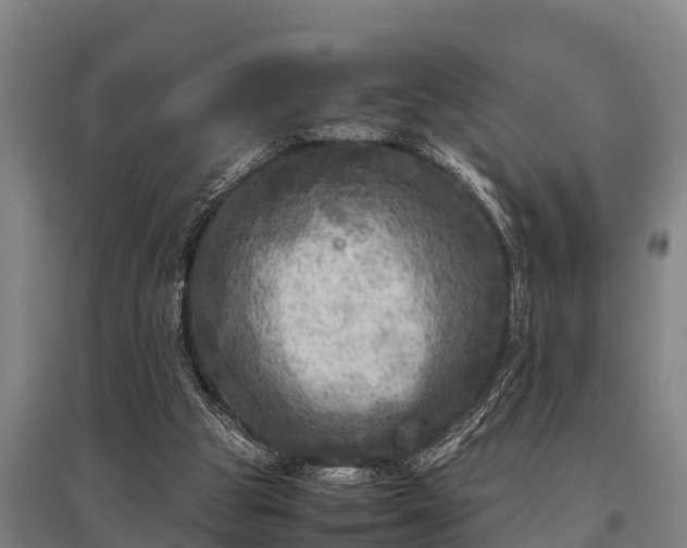 X0000095940153200801181408