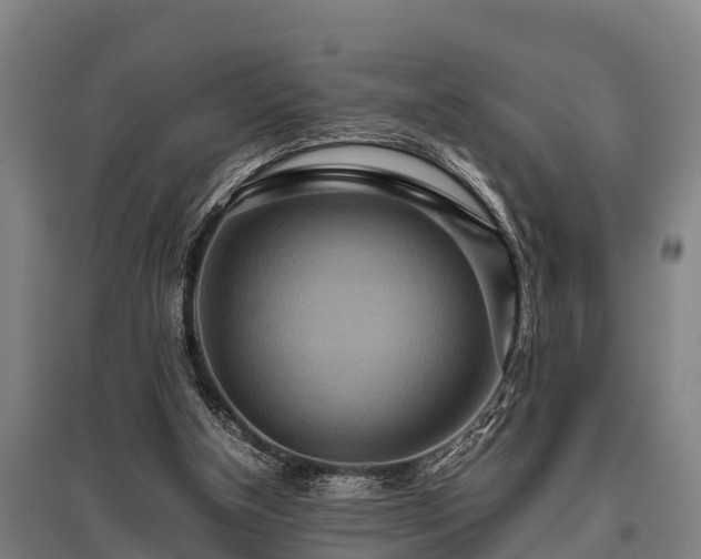 X0000095940154200801181408