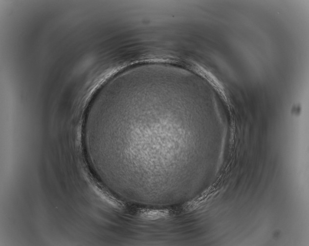 X0000095940155200801181408