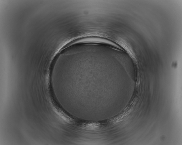 X0000095940156200801181408