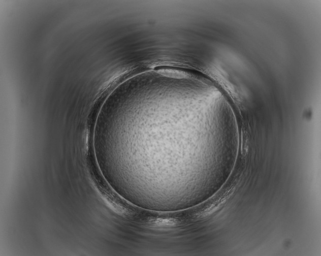 X0000095940157200801181408
