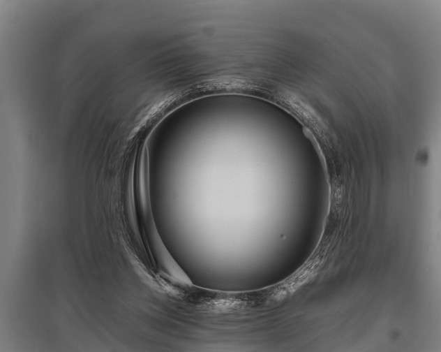 X0000095940158200801181408
