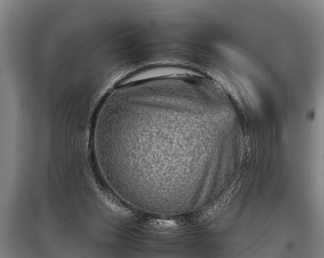 X0000095940159200801181408
