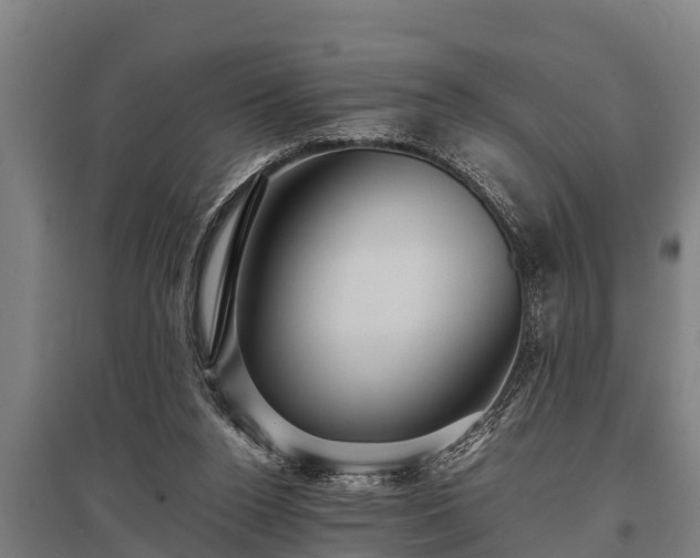 X0000095940160200801181408