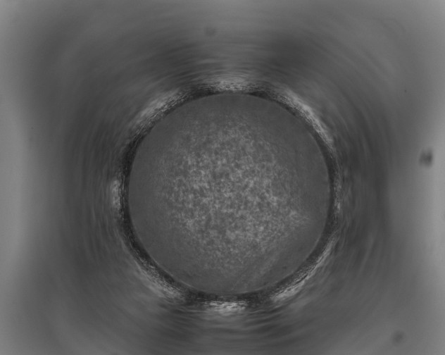 X0000095940161200801181408