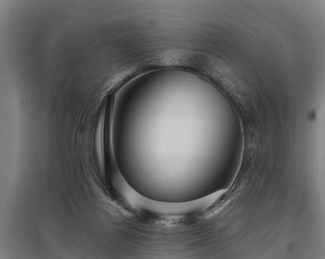 X0000095940164200801181408