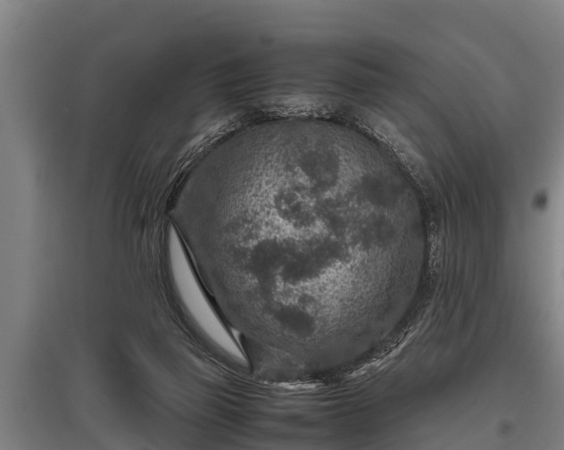 X0000095940165200801181408