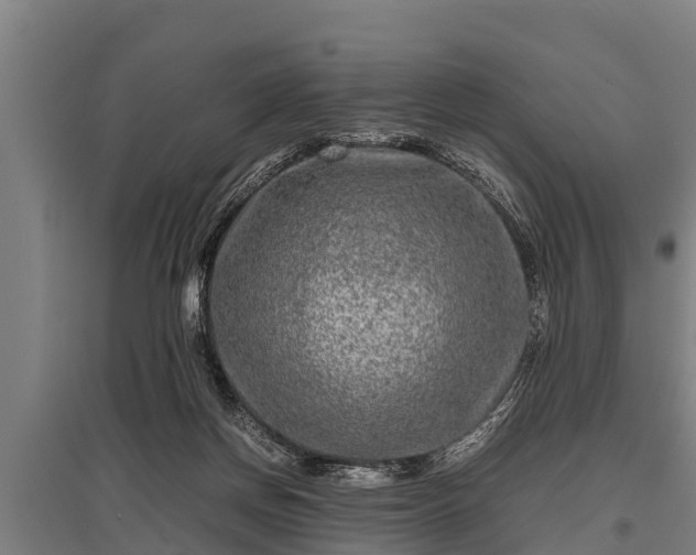 X0000095940166200801181408