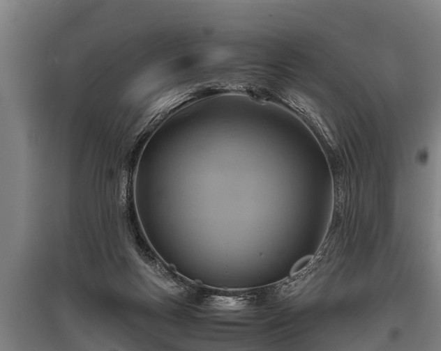 X0000095940167200801181408