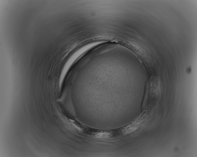 X0000095940168200801181408