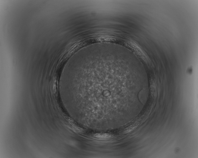X0000095940169200801181408