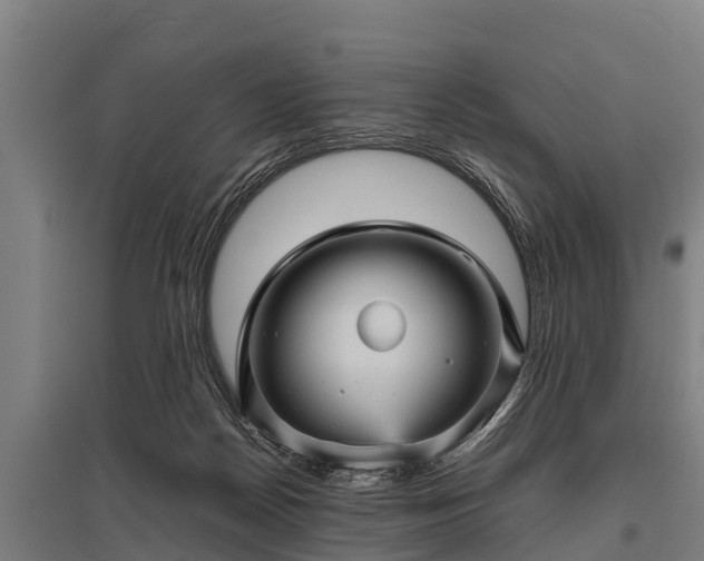 X0000095940170200801181408