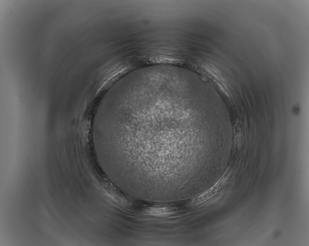 X0000095940171200801181408
