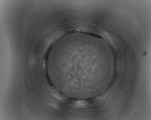 X0000095940173200801181408
