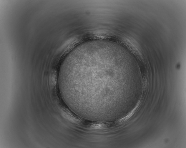 X0000095940174200801181408