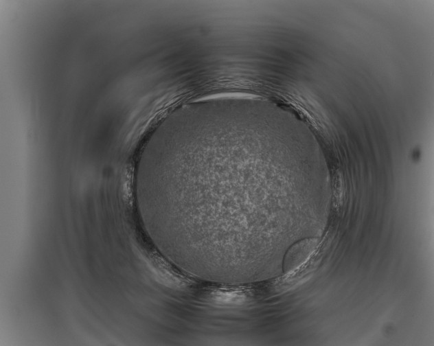 X0000095940175200801181408