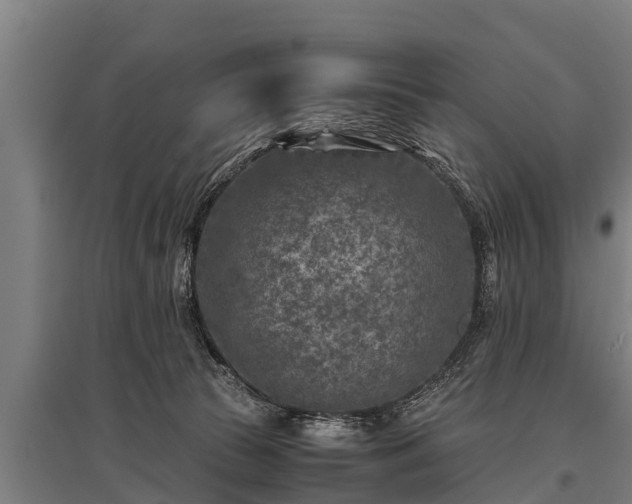 X0000095940177200801181408