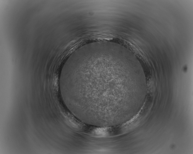 X0000095940178200801181408